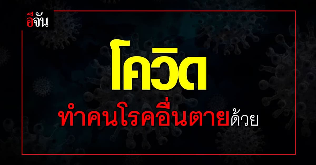 หมอยง ชี้ โควิด ทำโรคอื่น เสียโอกาส และเสียชีวิต เพราะไม่ได้รักษา