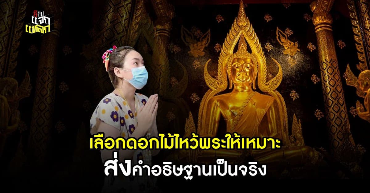 ไหว้พระขอพรทุกวัน เลือกดอกไม้ให้ถูกต้อง พรจะสมหวัง