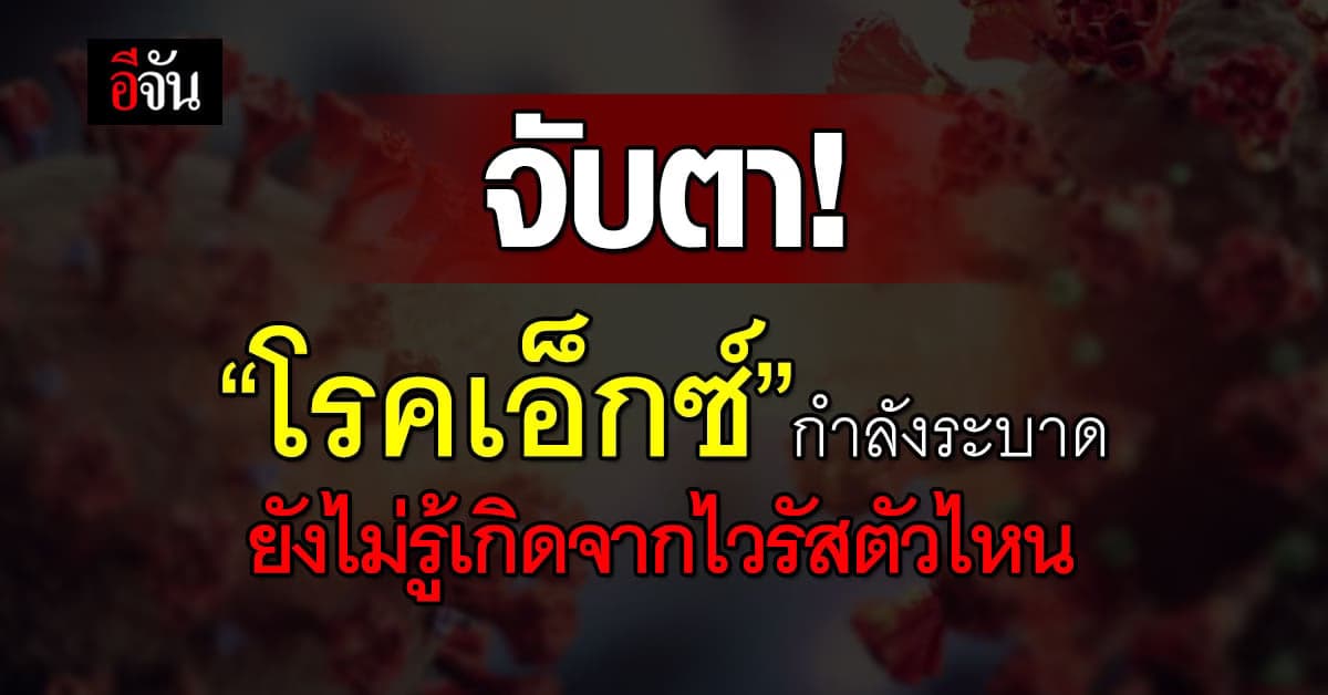 WHO จับตา “โรคเอ็กซ์” กำลังระบาด ชี้ ยังไม่รู้เกิดจากไวรัสตัวไหน