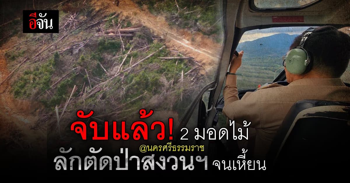 จับแล้ว! 2 มอดไม้บุกรุกตัดป่าสงวนฯ นครศรีธรรมราช ผู้ว่าฯสั่งเร่งขยายผล