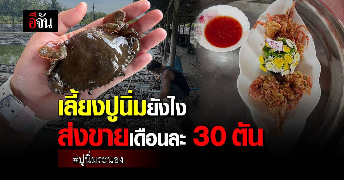 จันพาส่อง ฟาร์มปูนิ่มระนอง เลี้ยงไม่ง่าย เเต่เห็นกำไรเเล้วหายเหนื่อย