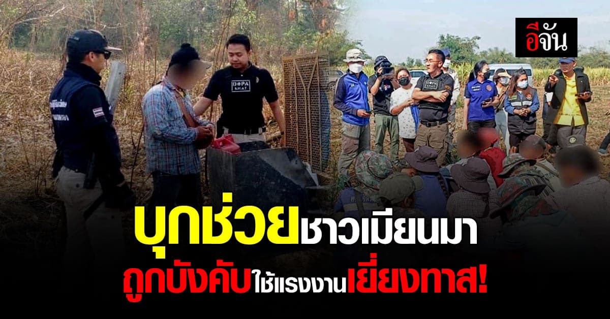 ปกครอง บุกช่วยแรงงานเมียนมา 14 ชีวิต ถูกนายจ้างบังคับตัดอ้อย