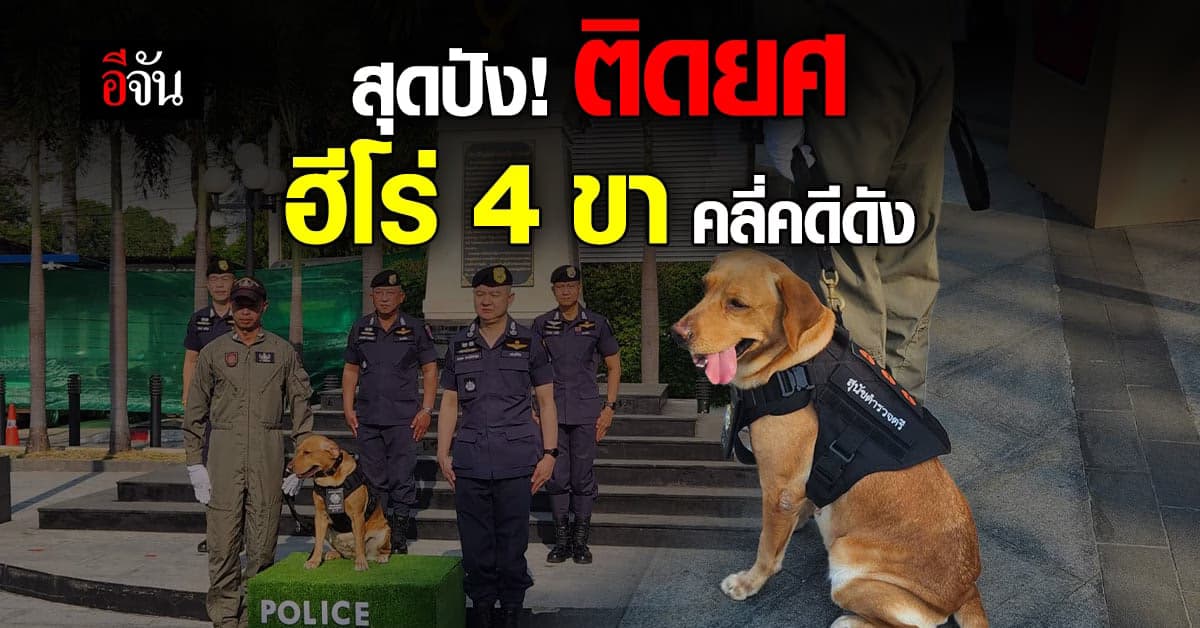 191 จัดพิธี ติดยศ 2 K-9 ฮีโร่ คลี่คดีดัง น้องชมพู่-ไอซ์หีบเหล็ก