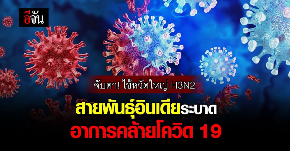 น่าห่วง!ไข้หวัดใหญ่ H3N2 สายพันธุ์อินเดียกำลังระบาด อาการคล้ายโควิด 19