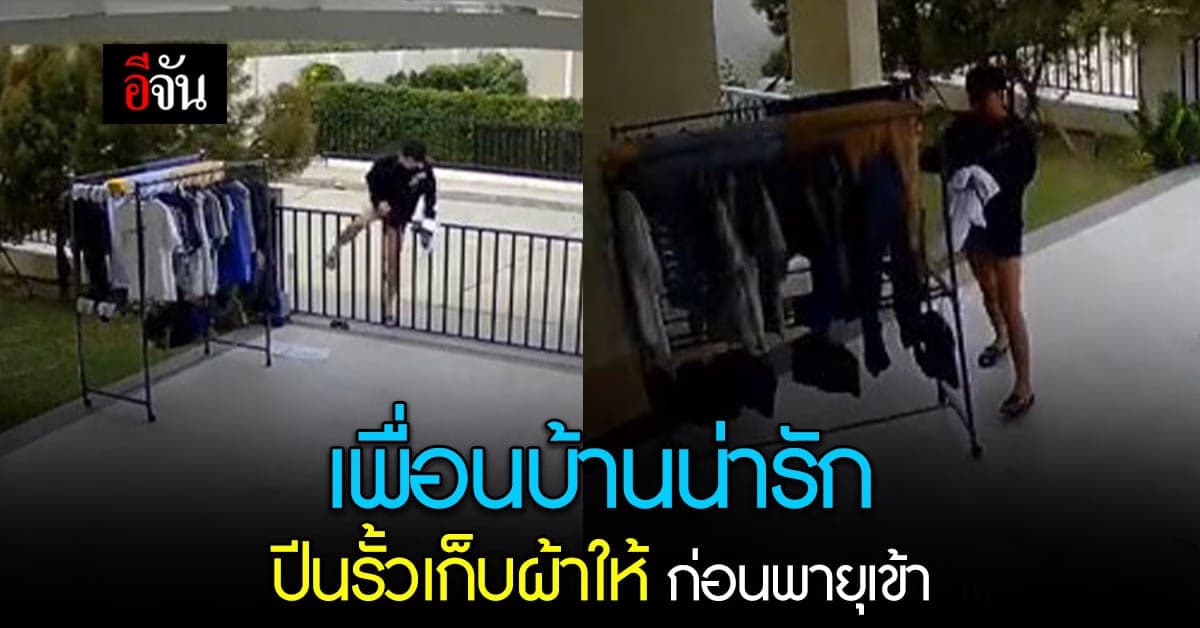 น่ารักมาก! เพื่อนบ้าน ปีนรั้ว ช่วยเก็บผ้า ในวันพายุเข้า