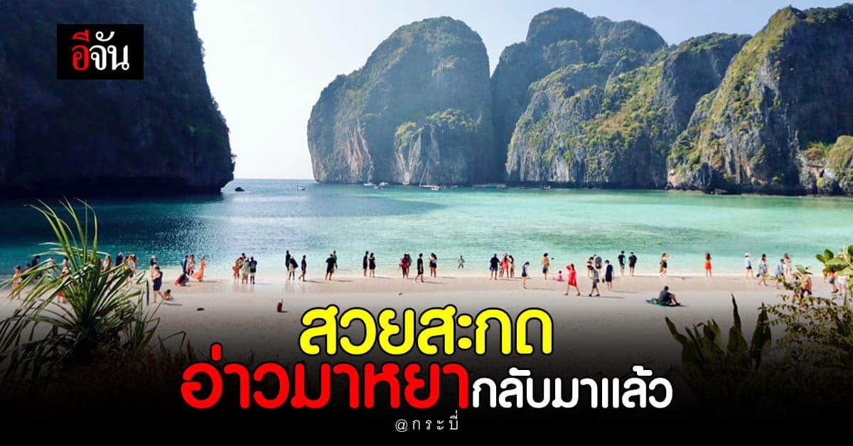 อ่าวมาหยา ชายหาดแสนสวย กลับมาเปิดรับ นักท่องเที่ยวแล้ว