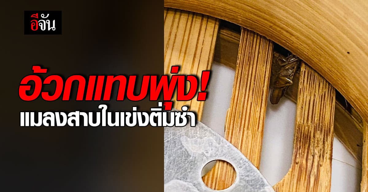 อ้วกแทบพุ่ง สาวกินติ่มซำไปแล้ว 2 ชิ้น เหลือบไปแมลงสาบอยู่ในเข่ง