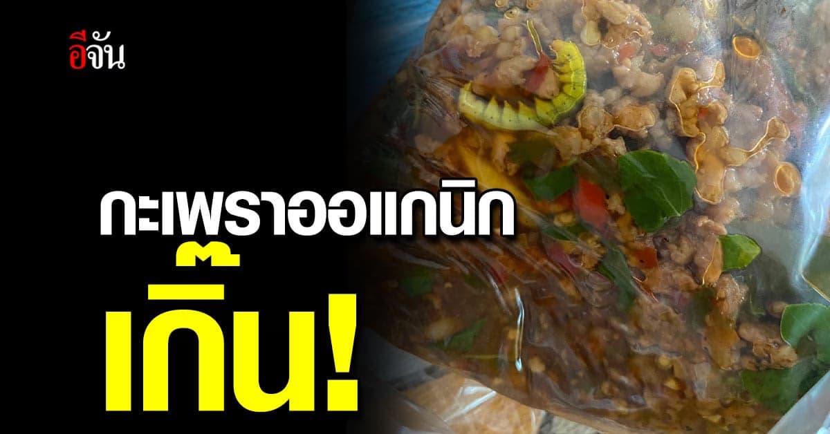 กินต่อหรือพอก่อน? กะเพราหมูสับ สูตรปลอดสารพิษ
