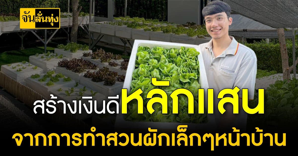 จากรายได้เสริมสู่รายได้หลัก! ปลูกผักสลัดหน้าบ้าน ขายสร้างเงินแสน