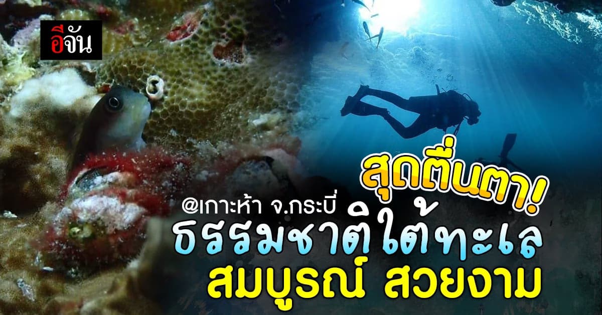 สวย! ธรรมชาติใต้ทะเล เกาะห้า จ.กระบี่