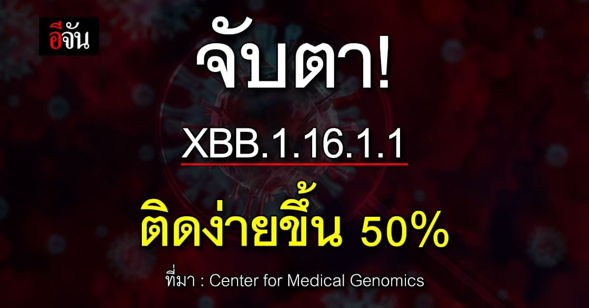 จับตา! โอมิครอนสายพันธุ์ XBB.1.16.1.1 ติดง่ายขึ้น 50%