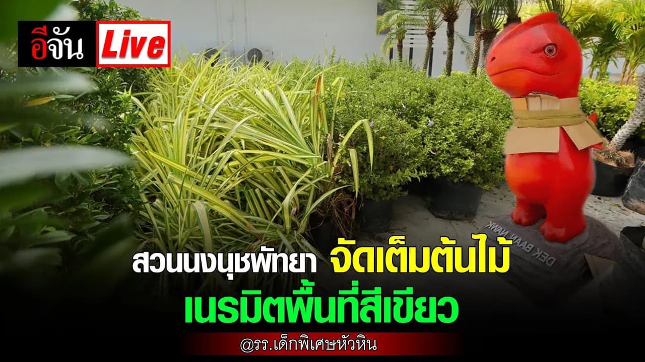 🎬 Live โรงเรียนกำลังจะเป็นสีเขียว! ต้นไม้จากสวนนงนุชมาแล้ววว