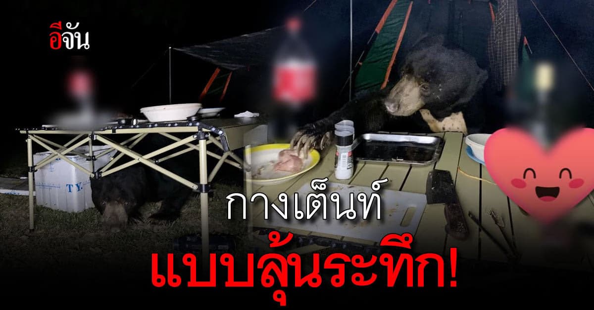 หนุ่มโพสต์ชวนกางเต็นท์แบบลุ้นระทึก แนะนำที่แก่งกระจาน