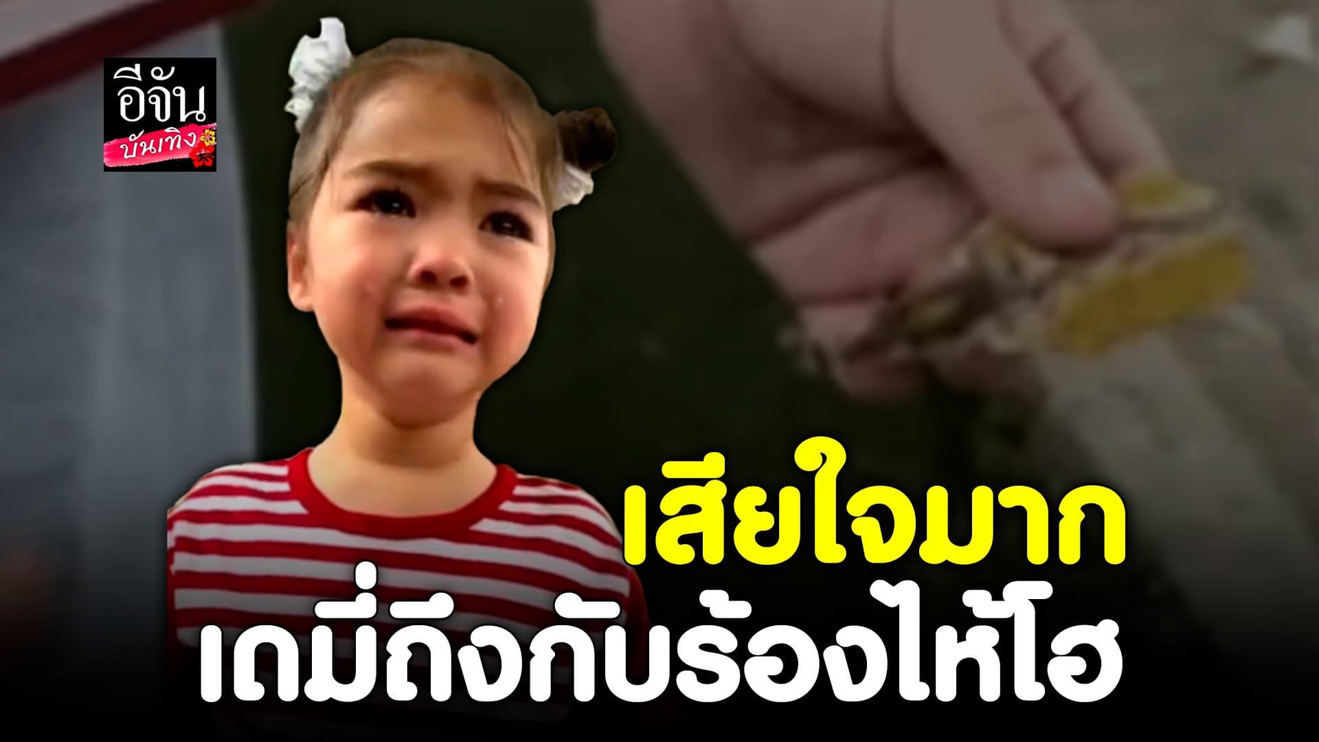 🎬 คลิปบันเทิง : เดมี่ ร้องไห้โฮ เมื่อตั๊กแตนตาย แม่ลิเดีย ต้องปลอบใจ