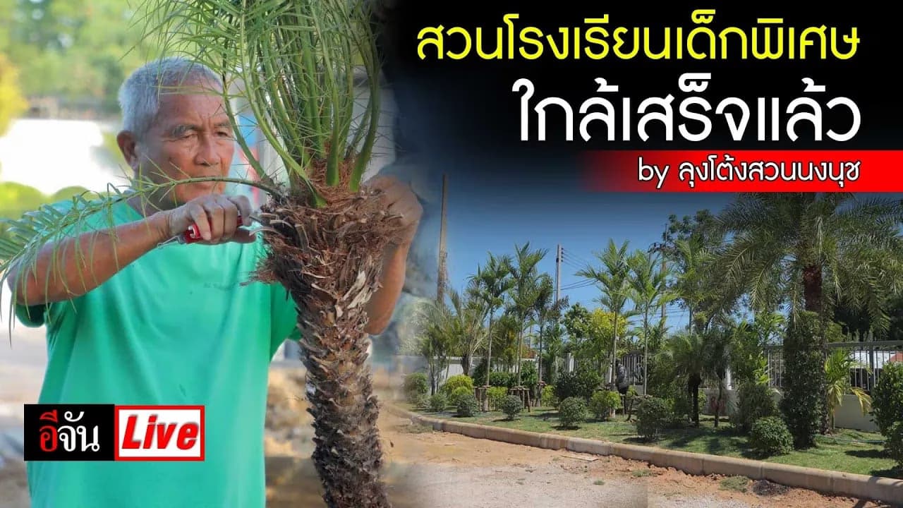 🎬 Live สวนสวย โรงเรียนเด็กพิเศษ by ลุงโต้ง สวนนงนุช