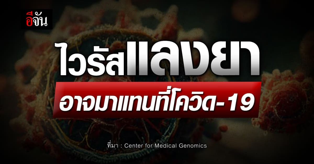 พร้อมมั๊ย? ไวรัสแลงยา (Langya) อาจมาแทนที่โควิด-19