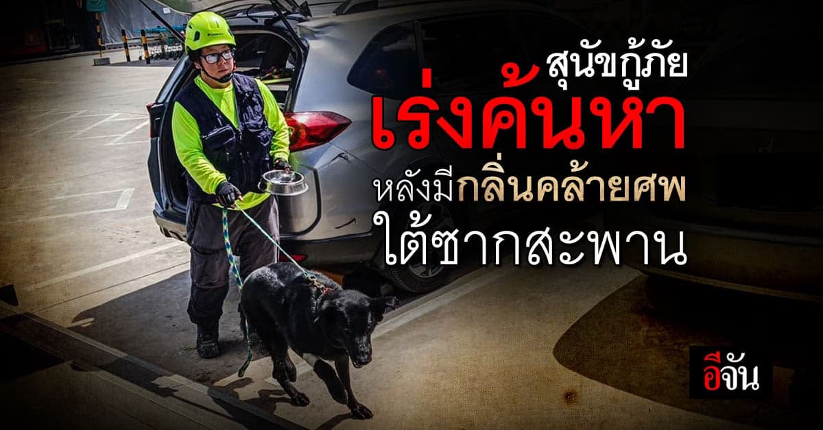 ผงะ จนท. ได้กลิ่นคล้ายศพ ใต้ซาก สะพานข้ามแยกถล่ม