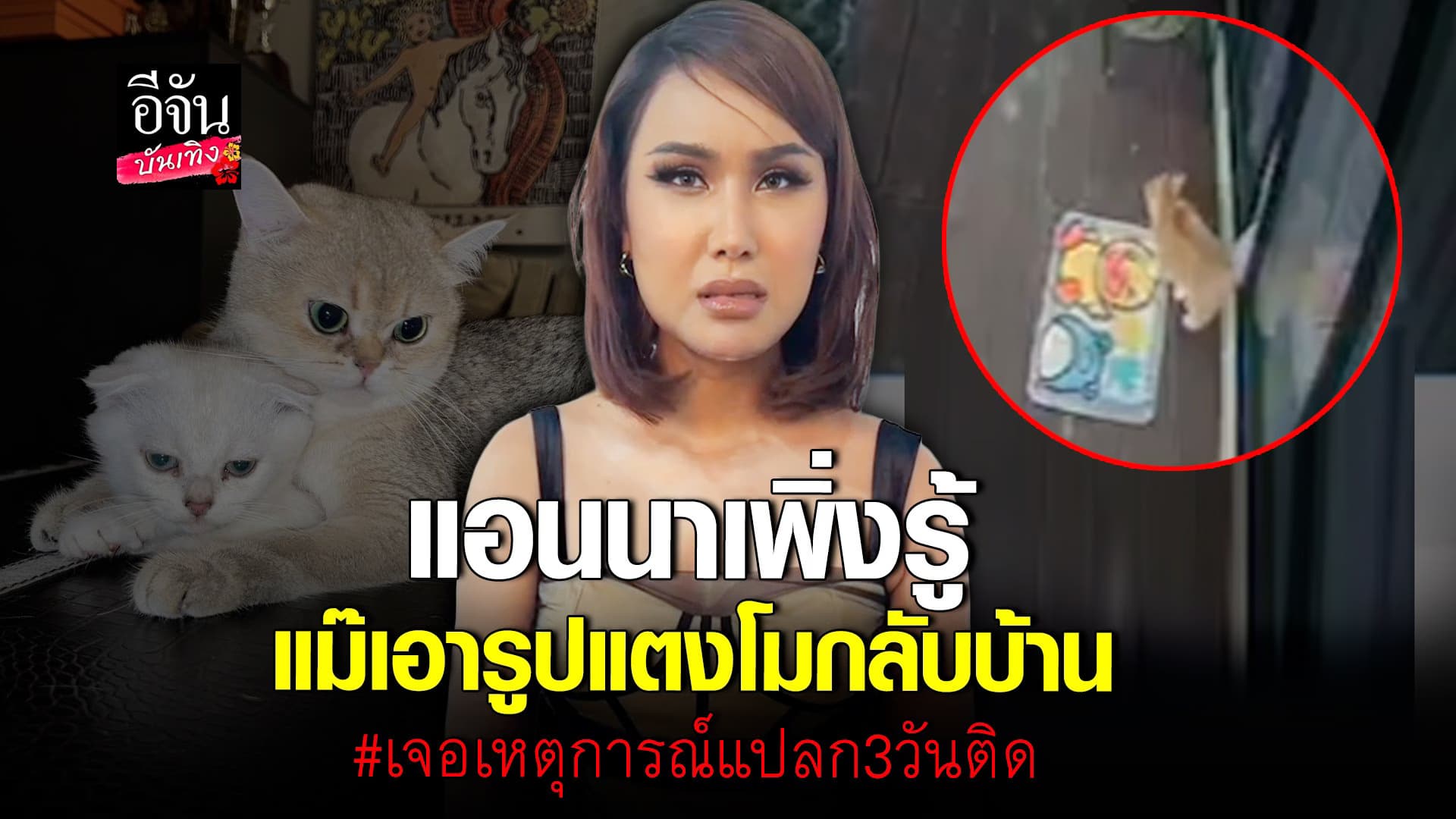 🎬 คลิปบันเทิง:แอนนา เพิ่งรู้ แม๊เก็บรูป แตงโมที่ท่าเรือ เจอเรื่องแปลก