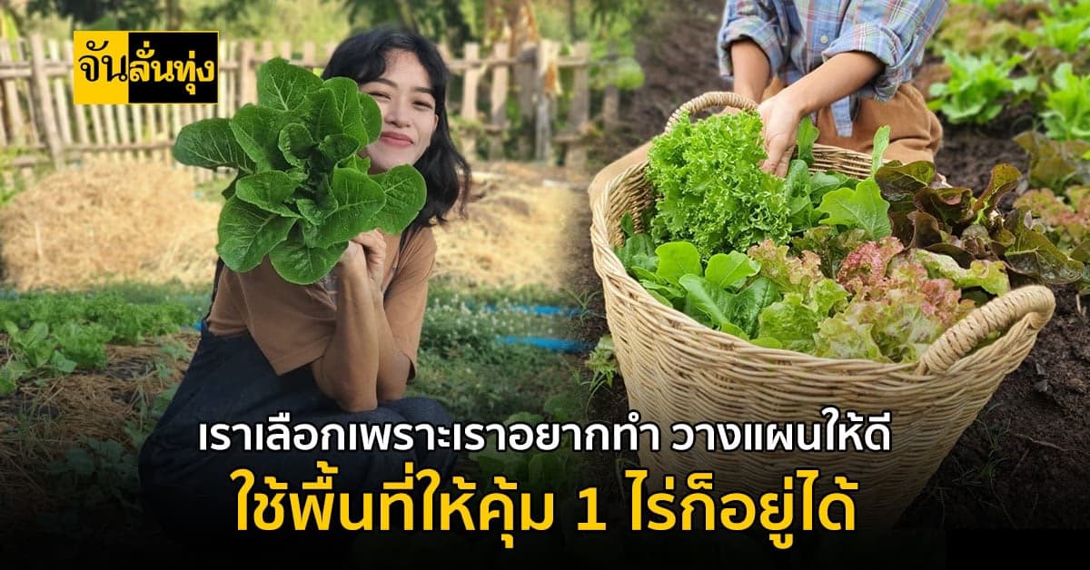 ยอมเหนื่อยเพื่อเป็นนายตัวเอง เปลี่ยนที่ 1 ไร่ สร้างเงินจากการปลูกผัก
