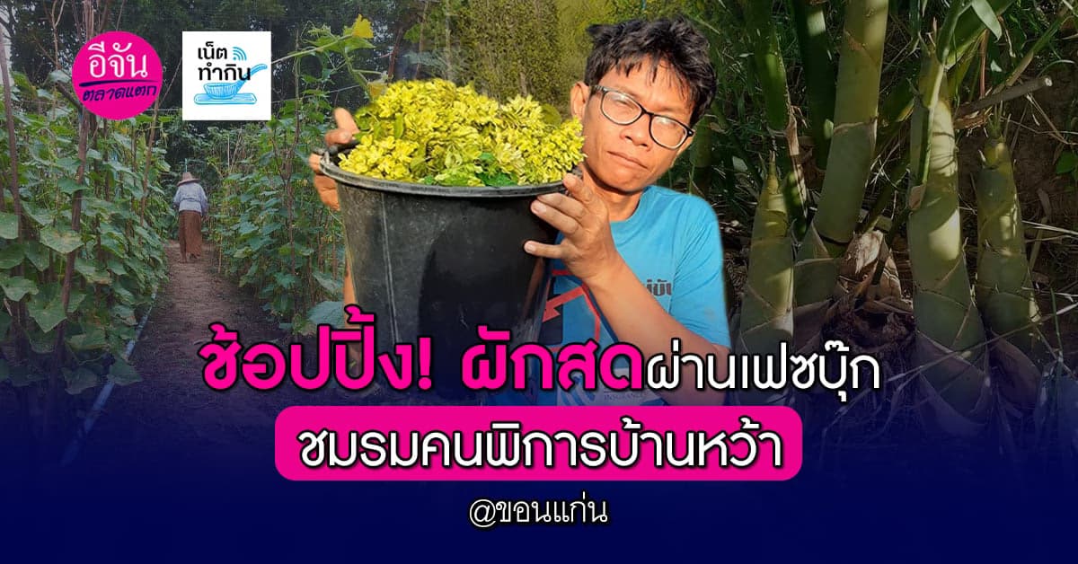 ผักสด! ชมรมคนพิการตำบลบ้านหว้า ขายผ่านเฟซบุ๊ก มีเท่าไหร่ก็หมด