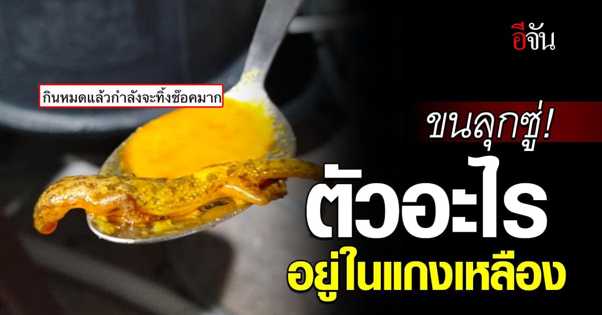 ขนลุก! ตัวอะไรอยู่ในแกงเหลือง เนื้อแน่นอวบอิ่ม ดีนะยังกัดไม่โดน