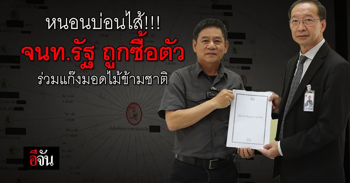 ชัยวัฒน์ ลุย ร้อง ป.ป.ช. ตรวจสอบ เจ้าหน้าที่รัฐ เอี่ยว ค้าไม้ข้ามชาติ