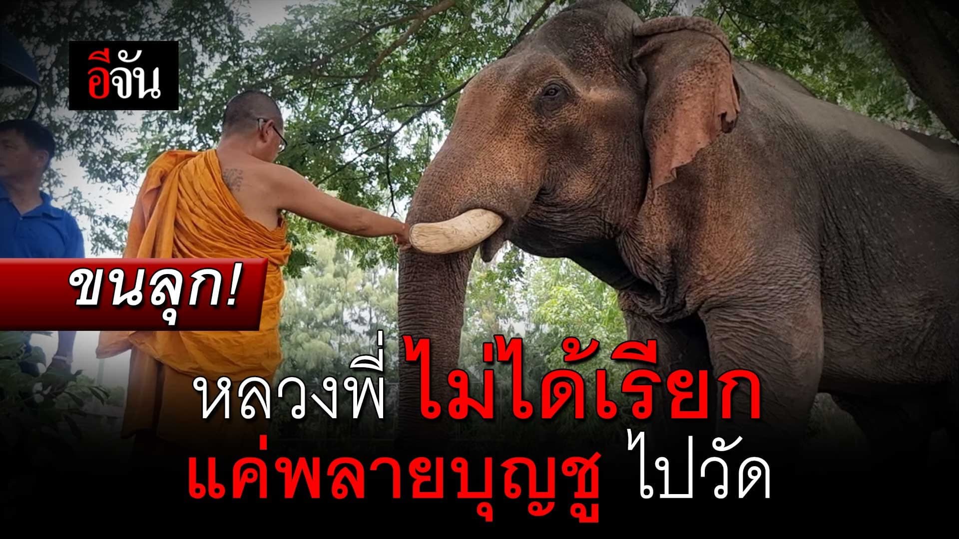 🎬 ขนลุก ! หลวงพี่อุเทน ไม่ได้เรียก แค่พลายบุญชู ไปวัด