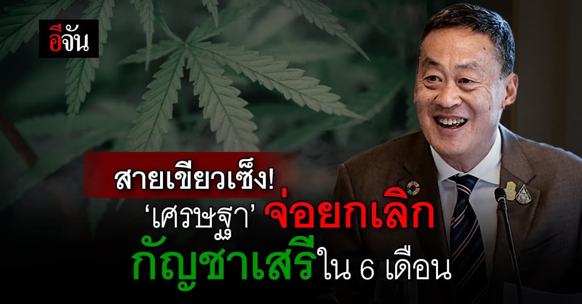 สายเขียวเซ็ง! ‘เศรษฐา’ จ่อยกเลิก กัญชาเสรี ให้ใช้เพื่อการแพทย์เท่านั้น