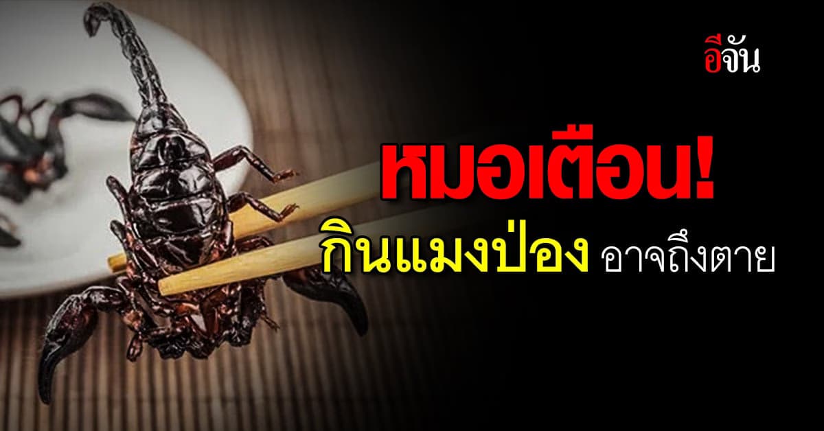 หมอหมู เตือน! กินแมงป่อง อาจถึงตาย