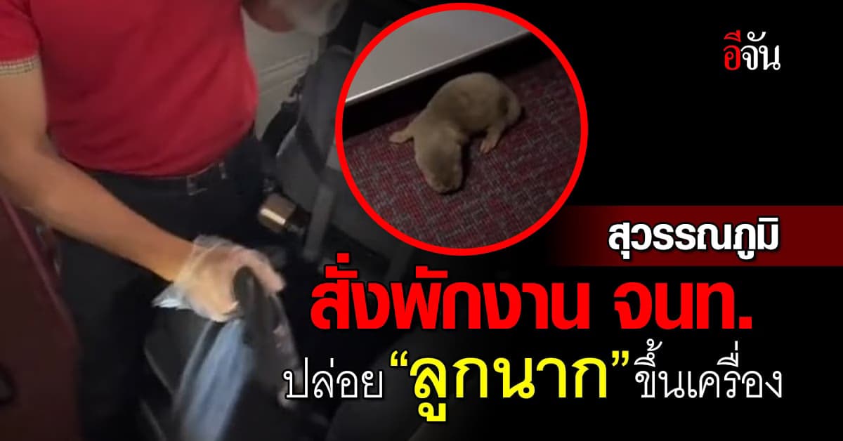 สุวรรณภูมิ สั่งเปรี้ยง! พักงานเจ้าหน้าที่ ปล่อย “ลูกนาก” ขึ้นเครื่อง