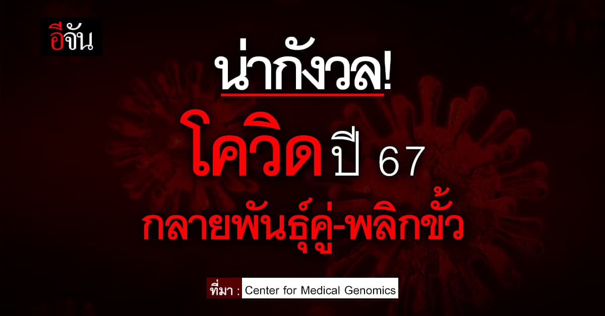 น่ากังวล! โควิด 19 สายพันธุ์หลัก ปี 67 “กลายพันธุ์คู่-พลิกขั้ว”