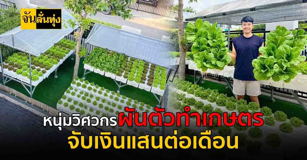 จากรายได้เสริมสู่รายได้หลัก ปลูกผักสลัดส่งขายจับเงินแสนทุกเดือน