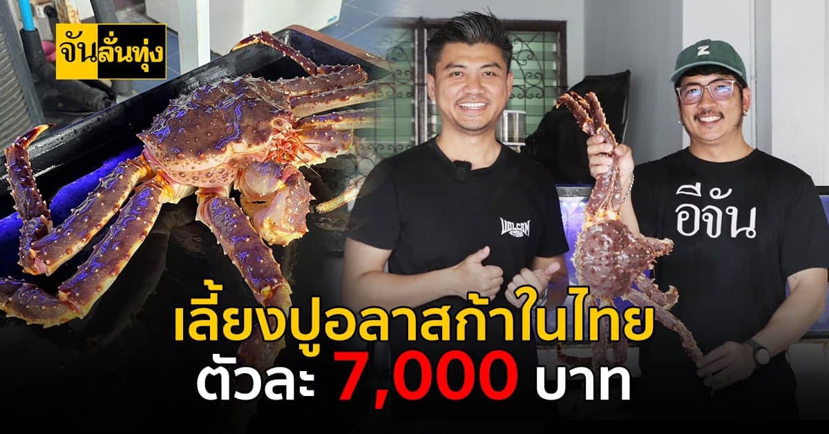 เลี้ยงปูอลาสก้าในไทย ยิ่งโตราคายิ่งพุ่ง ออเดอร์เข้าทุกอาทิตย์