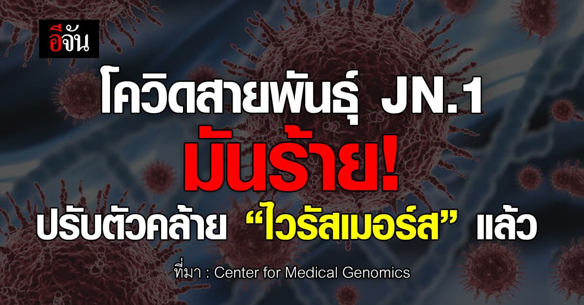 โควิดสายพันธุ์ JN.1 มันร้าย! ปรับตัวคล้าย “ไวรัสเมอร์ส” แล้ว
