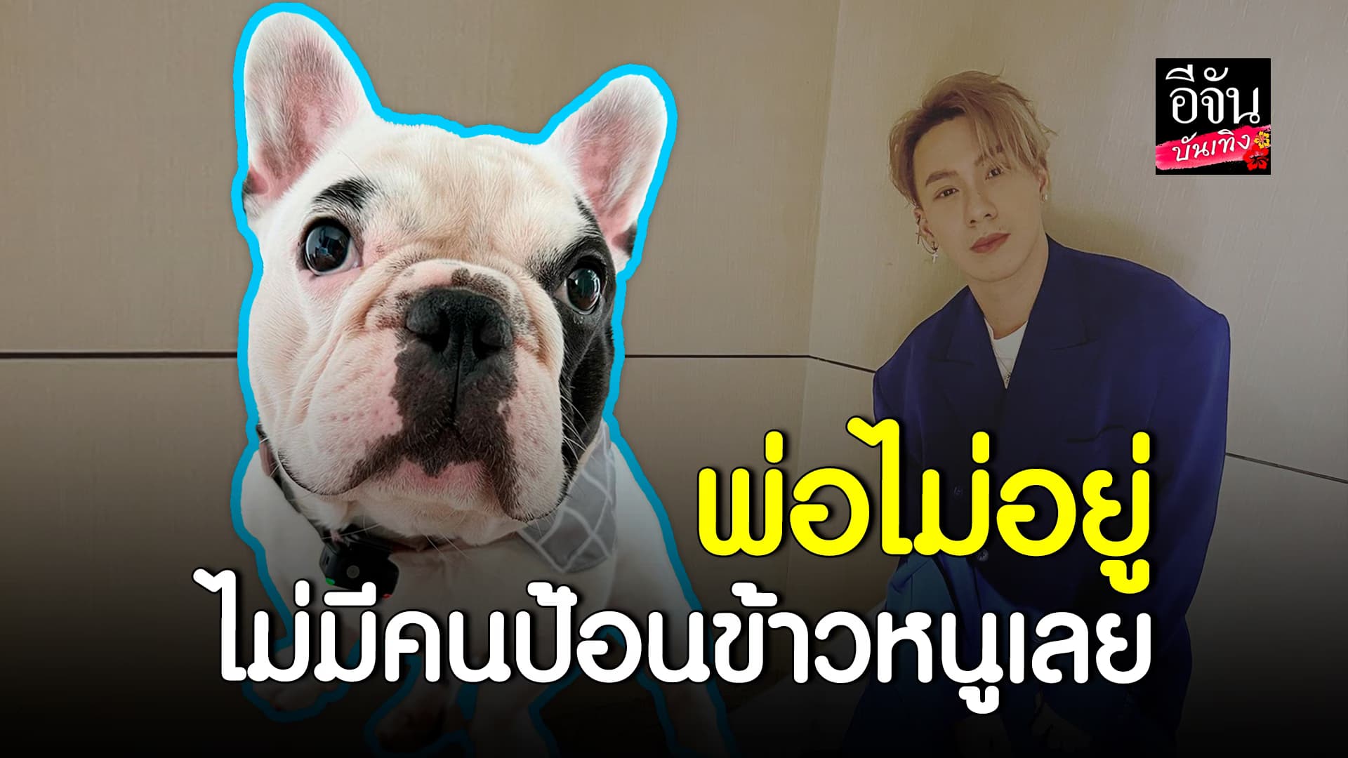 🎬 คลิปบันเทิง : เป็นท้อเลยครับ เมื่อน้องหมาของ ตั้ม วราวุธ ไม่ยอมกินข้าว เพราะคนป้อนไม่อยู่