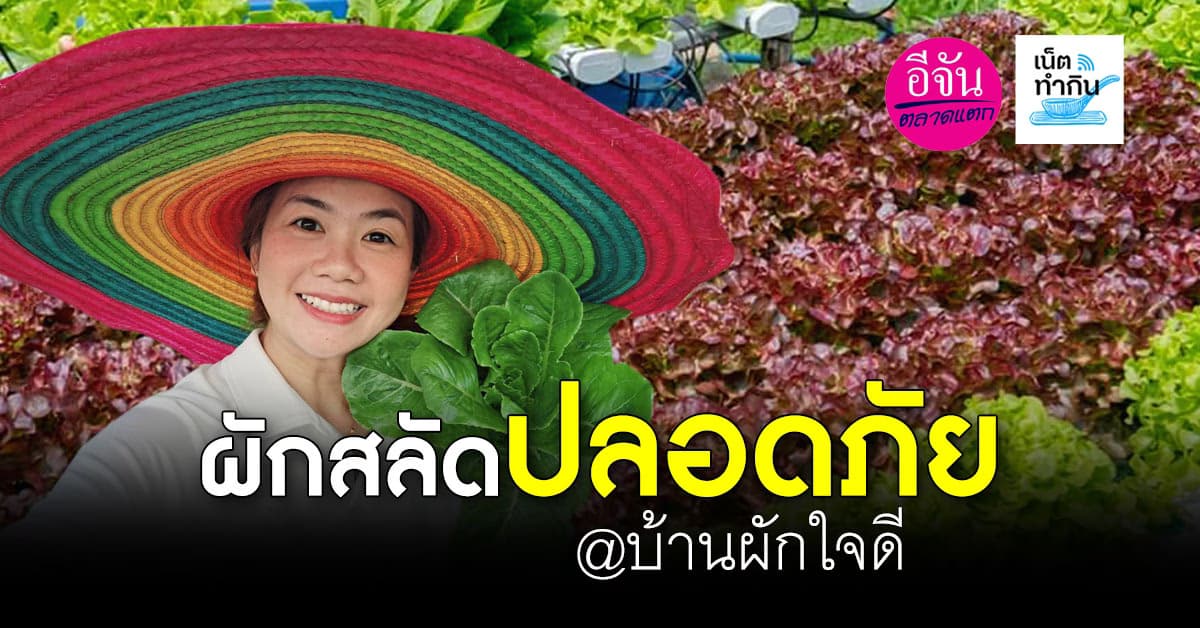 เฮลตี้! กินผักแบบปลอดสาร สั่งผ่านเฟซบุ๊ก “บ้านผักใจดี”