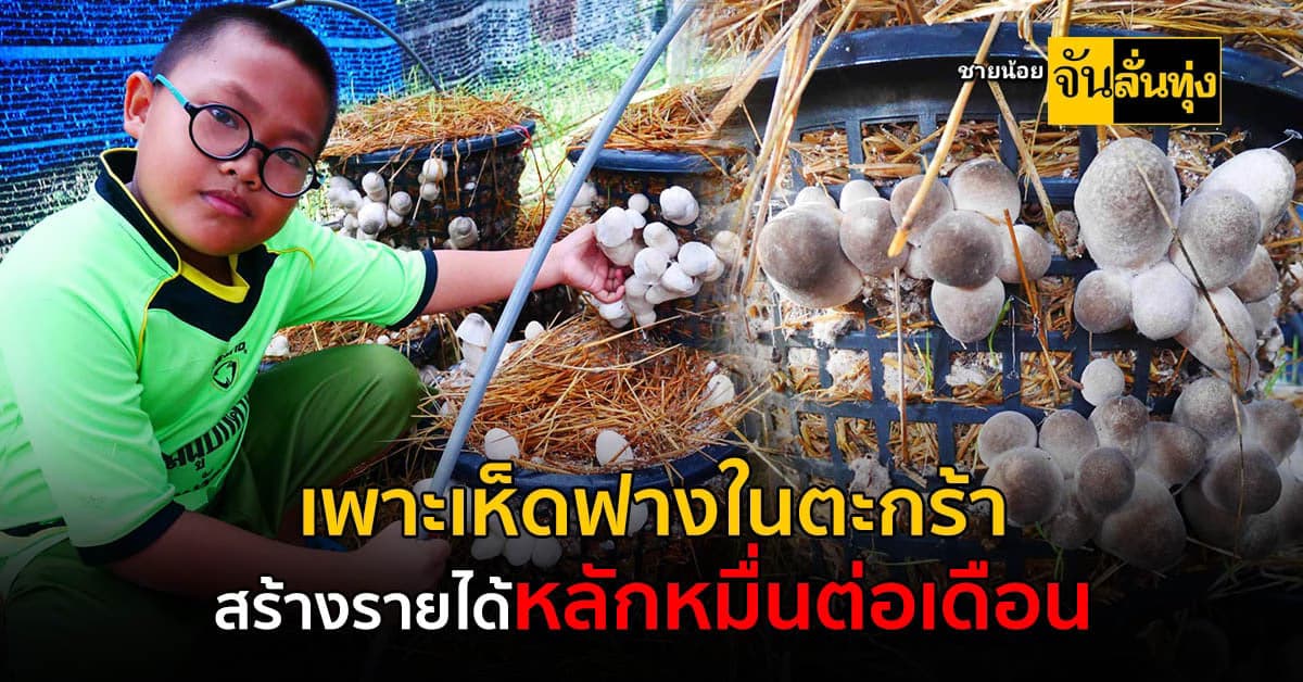 อาชีพเสริมที่สร้างรายได้หลักหมื่น การจากเพาะเห็ดฟางในตะกร้าขาย