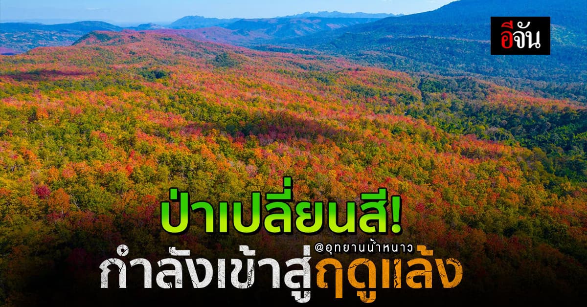 สวยมาก! อุทยานน้ำหนาว เปิดภาพ “ป่าเปลี่ยนสี” เข้าสู่ฤดูแล้ง