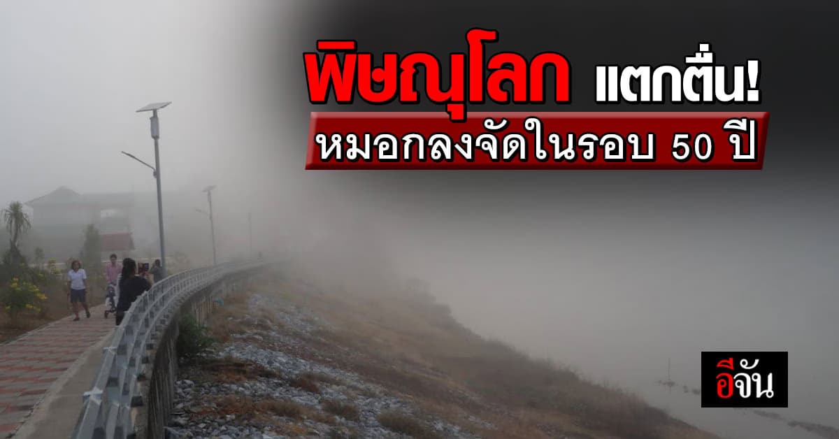 พิษณุโลกแตกตื่น! หมอกลงจัดทั่วเมือง ในรอบ 50 ปี