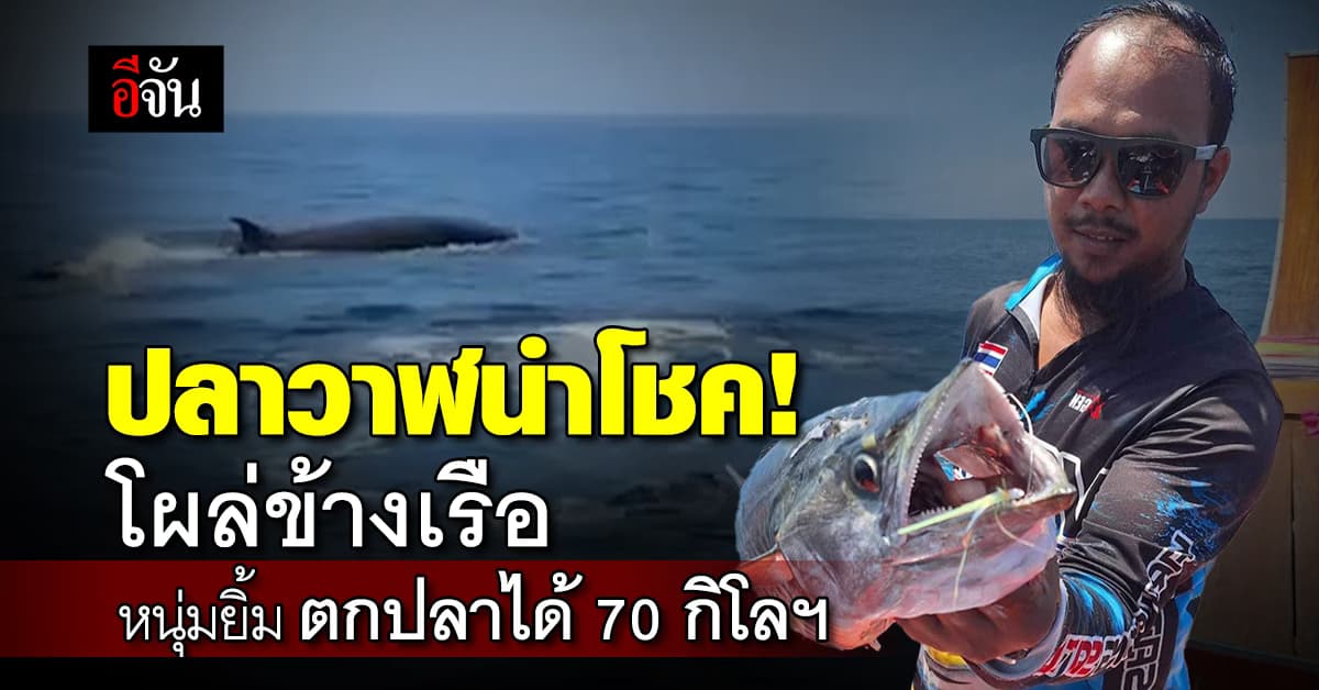 วาฬขนาดใหญ่ 2 ตัว โผล่ข้างเรือ 4 หนุ่มนักตกปลา ก่อน พาโชคมาให้ ตกปลาได้รัวๆ