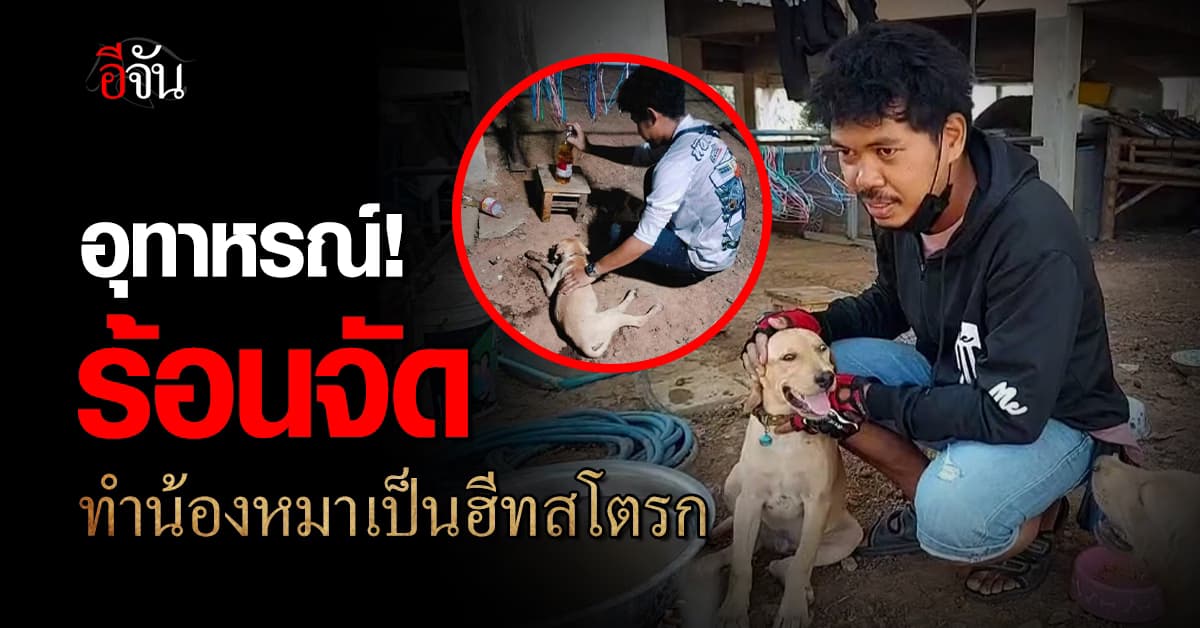 อุทาหรณ์! ร้อนจัดทำน้องหมาเป็น “ฮีทสโตรก” พร้อมกัน 3 ตัว