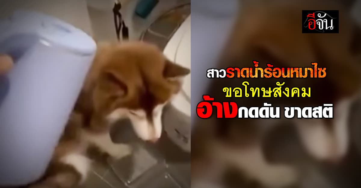 สาวราดน้ำร้อนไซบีเรียน โพสต์ยอมรับทำเพราะขาดสติ พร้อมขอโทษสังคม