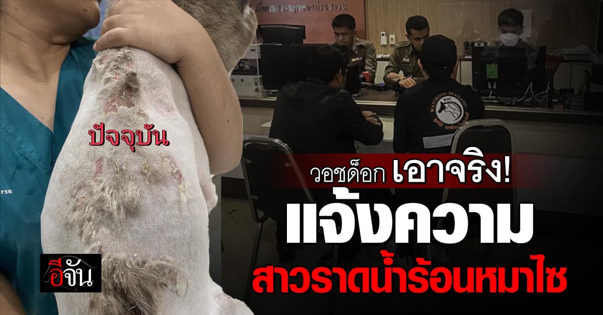 วอชด็อก ไทยแลนด์ ไม่ทน! แจ้งความเอาผิด สาวราดน้ำร้อนหมาไซบีเรียน