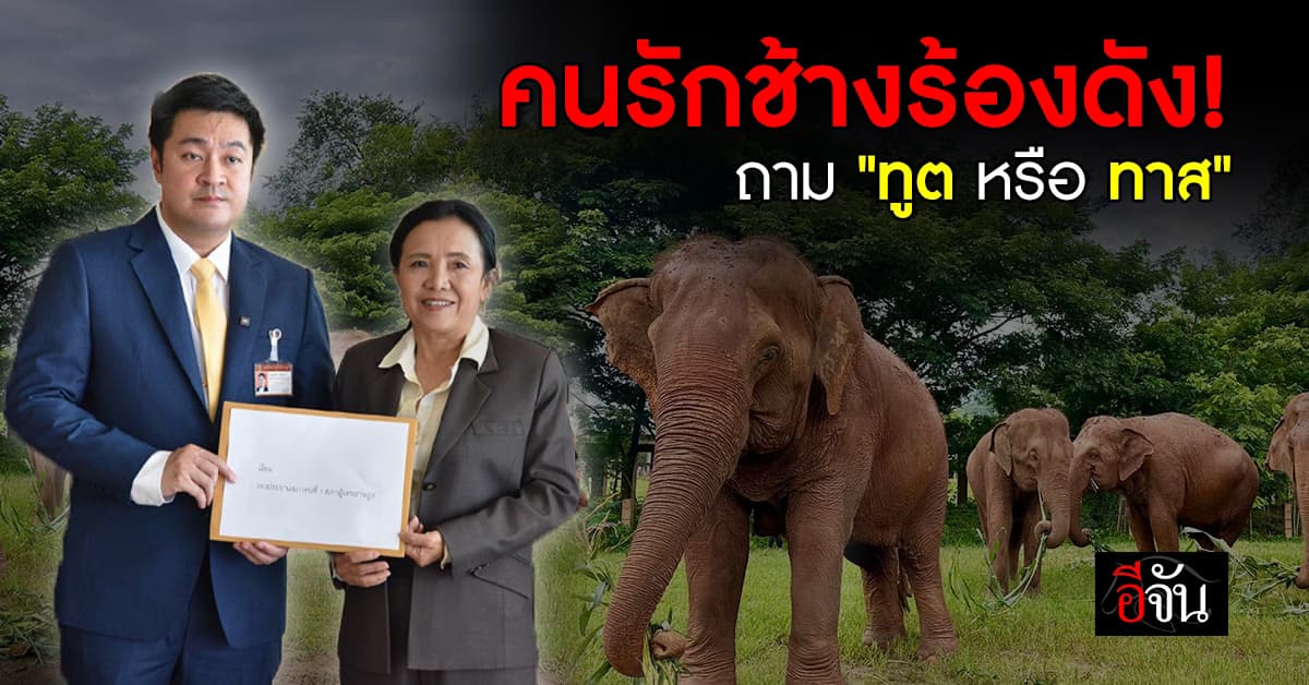 องค์กรสวัสดิภาพสัตว์ ยื่นหนังสือ กมธ. ถามความเป็นอยู่ช้างไทยในต่างแดน