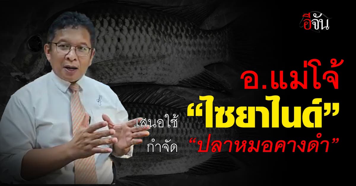 อ.แม่โจ้ เสนอใช้ “ไซยาไนด์” กำจัด “ปลาหมอคางดำ”