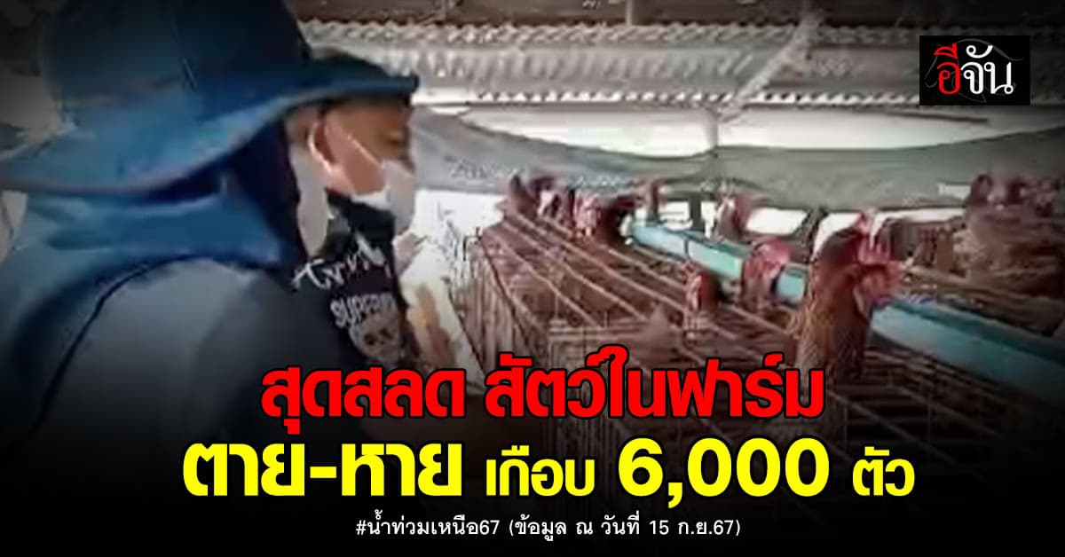 กรมปศุสัตว์ เผย สัตว์ ตาย-หาย ในน้ำท่วม 3 จังหวัดเหนือ มากถึง 6,000 ตัว