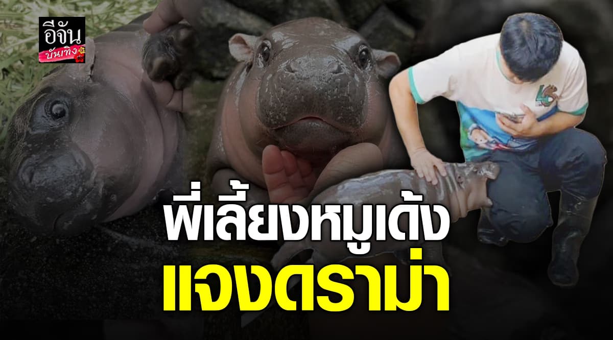 พี่เลี้ยง หมูเด้ง แจงดราม่า หลังเจอตำหนิ เล่นกับน้องบ่อยเกินไป