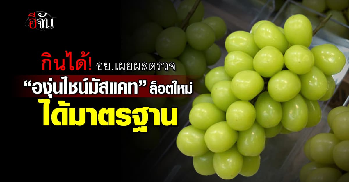 หายห่วง! อย.เผยผลตรวจ “องุ่นไชน์มัสแคท” นำเข้าล็อตใหม่ ได้มาตรฐาน