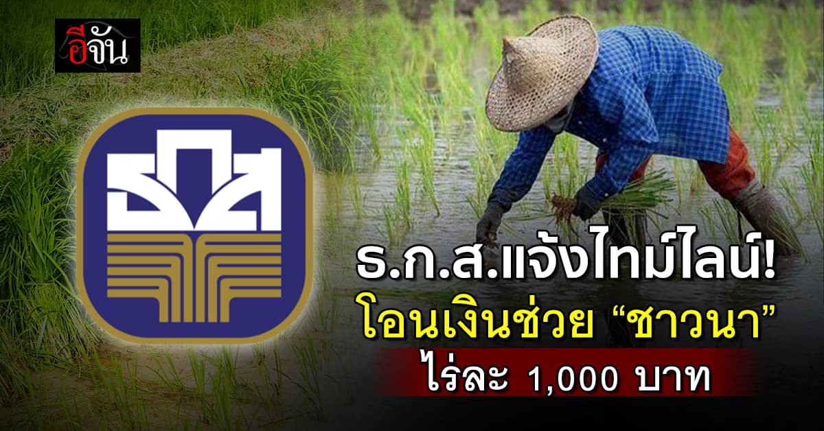 เช็กเลย! ธ.ก.ส.แจ้งไทม์ไลน์โอนเงินช่วย “ชาวนา” ไร่ละ 1,000 บาท