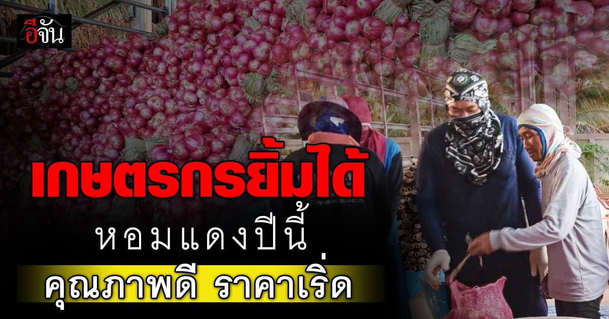ชาวสวนยิ้มออก หอมแดง ราคาดีขึ้น ทะลุ 72,000 บาท ต่อไร่ หลัง รัฐอุ้ม